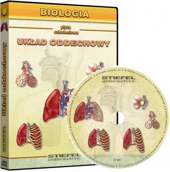 Biologia - Układ oddechowy